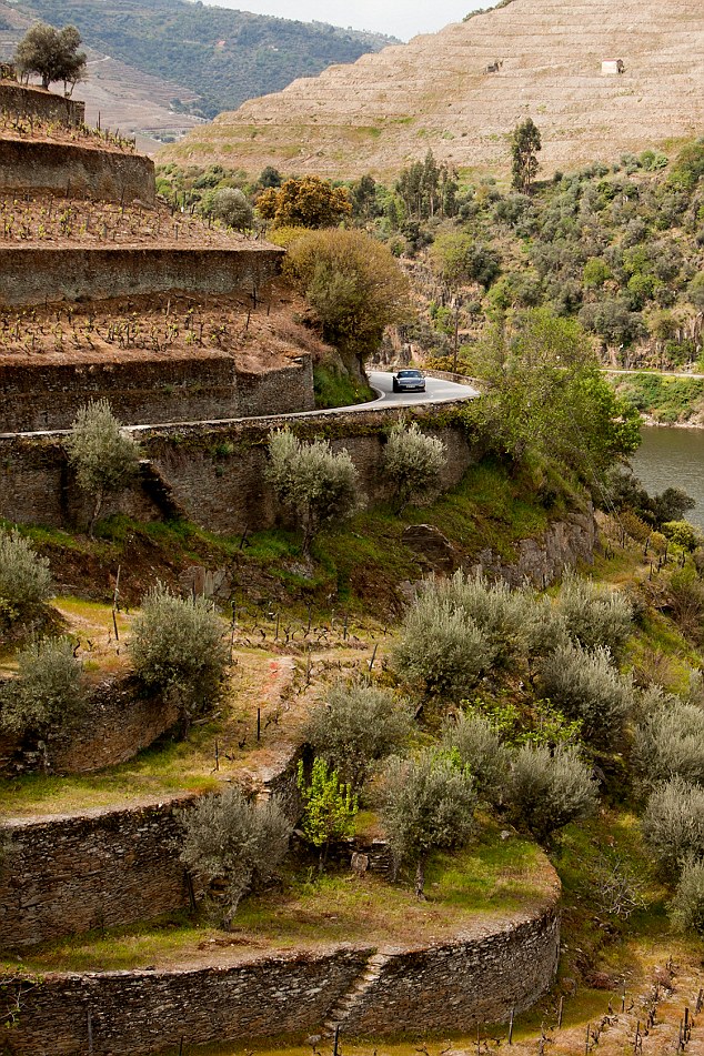 N-222 Droga Portugalia Dolina rzeki Douro Północ Portugalii 2015