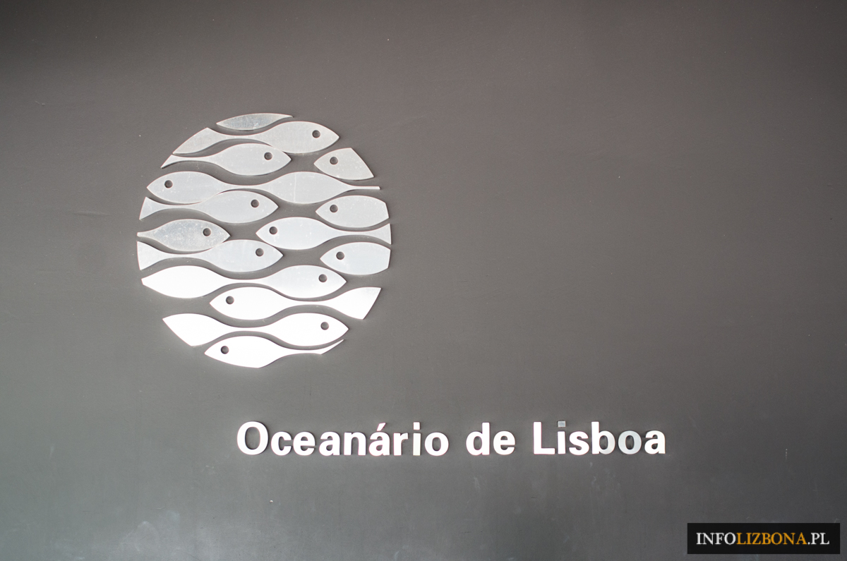 Oceanarium Lizbona Portugalia Lisbon Lisbona Czy Warto Opinie Przewodnik Zwiedzanie Bilety Cena Zdjęcia Akwarium Ryby Kolejki