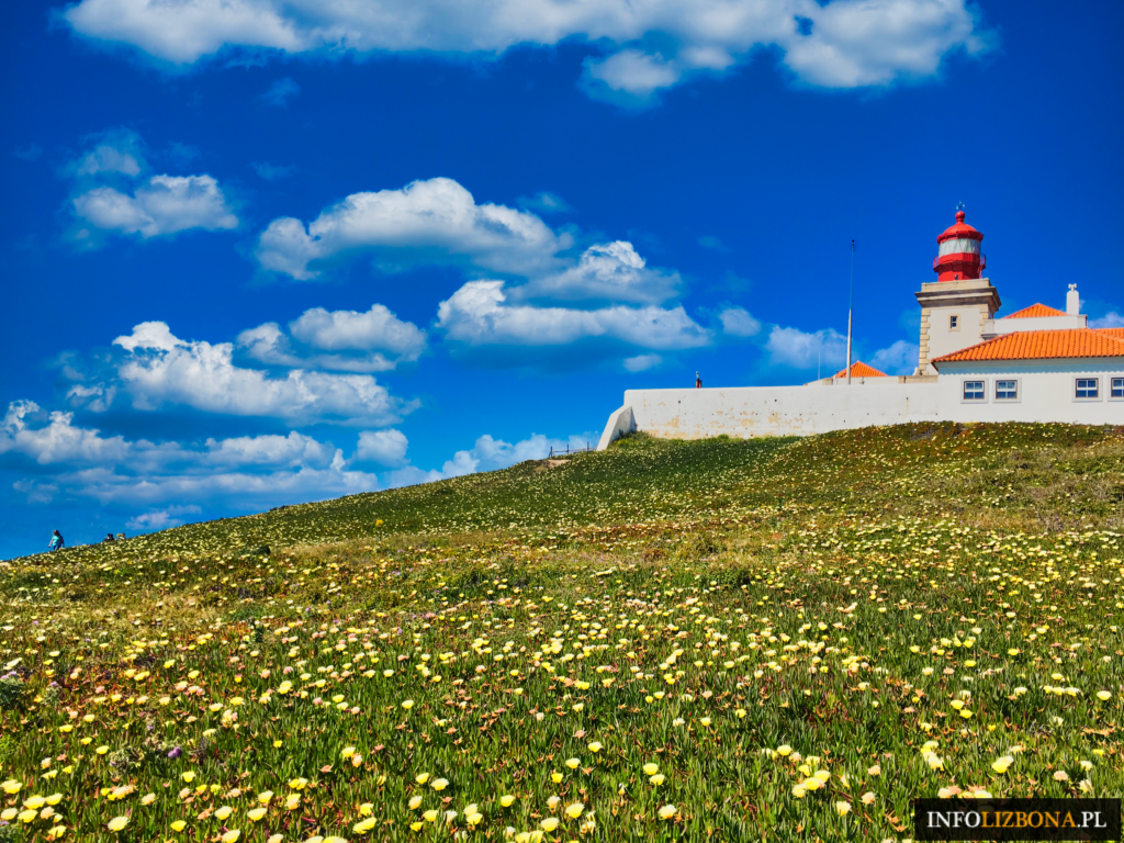 Latarnia Farol do Cabo da Roca nad zboczem pokrytym kwiatami