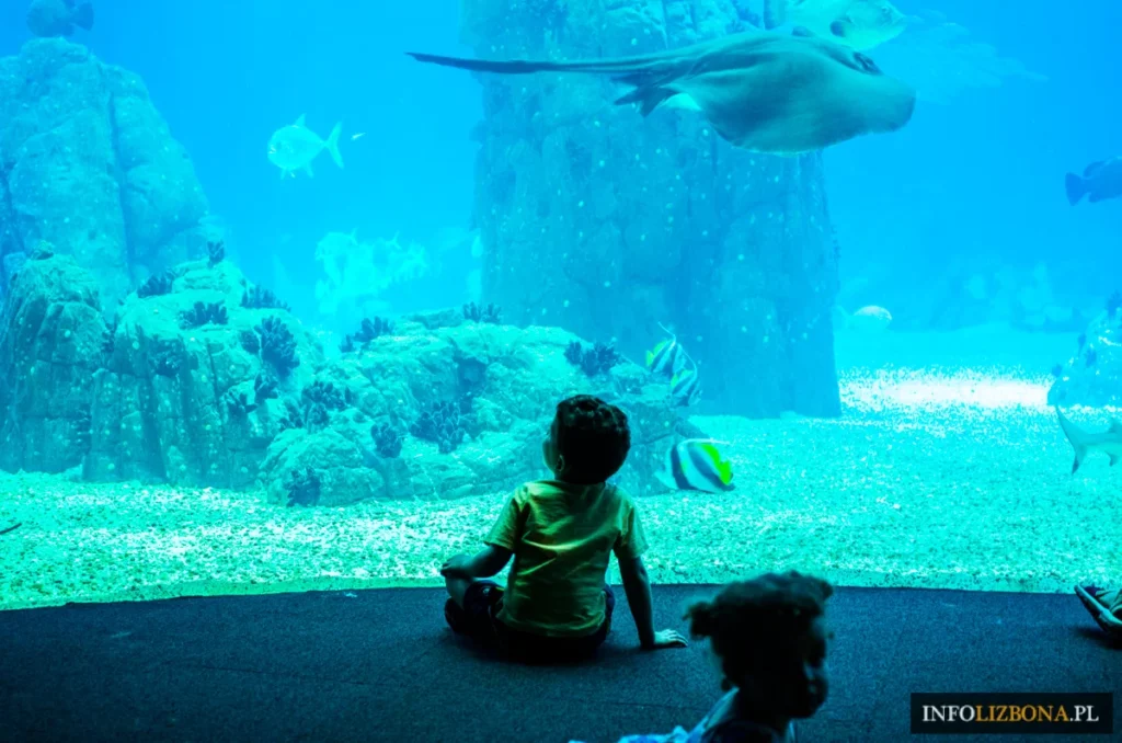 Główny zbiornik w Oceanarium w Lizbonie